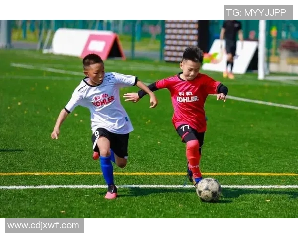 南京足球队挑战赛背后的奋斗与荣耀之路全景揭秘