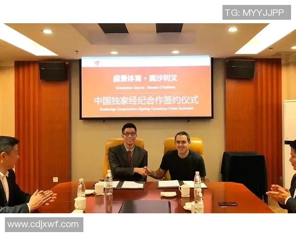 北京网球队的管理模式与发展策略深度解析