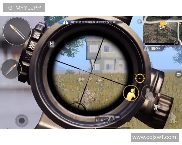 杨强独家揭秘和平精英游戏技巧与心得分享助你成为战场高手 杨强独家揭秘和平精英游戏技巧与心得分享助你成为战场高手