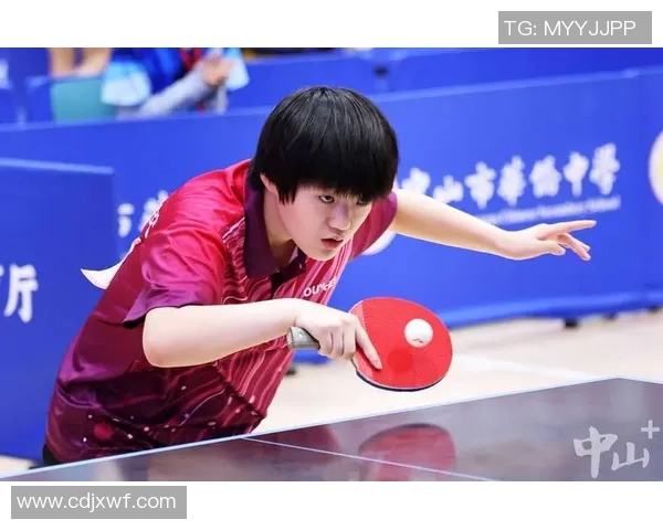 从零基础到高手之路乒乓球技巧与训练全解析