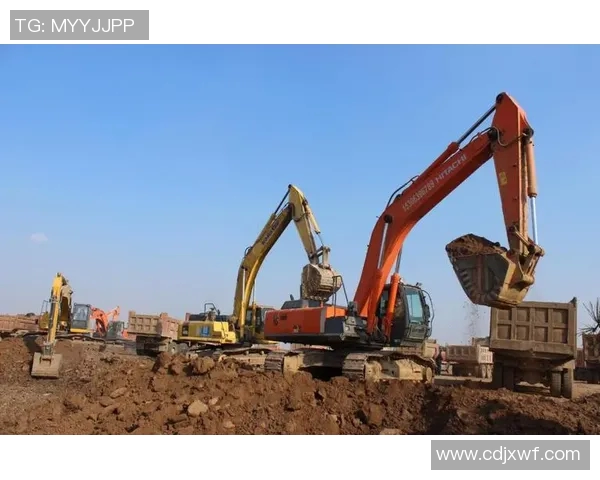 重磅专题：探讨北京排球队如何实现管理与战术的双重创新与突破