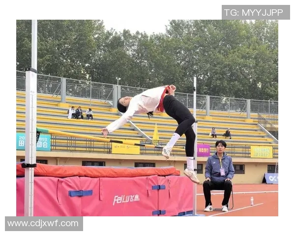 西安羽毛球队的控制革新探索与实践:推动竞技水平提升的新路径 西安羽毛球队的控制革新探索与实践:推动竞技水平提升的新路径