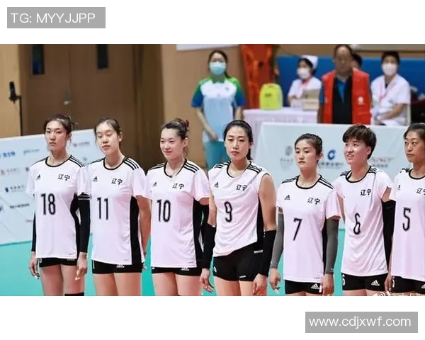 上海排球队团队协作引发热议球迷对战术配合和默契度的不同看法