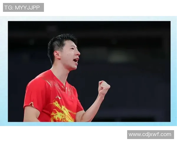 乒乓球盛宴：深入了解杭州乒乓球队的训练与比赛节奏