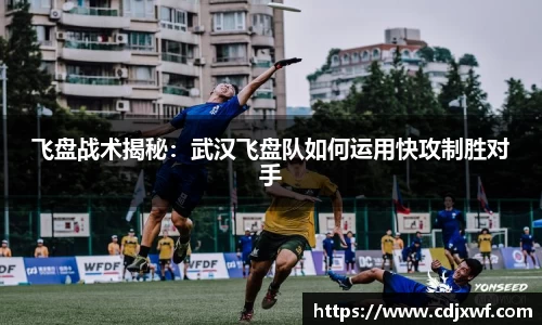 飞盘战术揭秘：武汉飞盘队如何运用快攻制胜对手